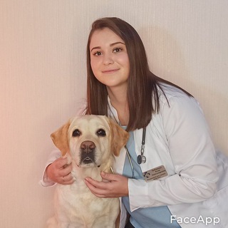 Логотип veterinar812