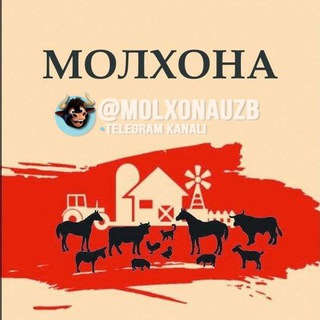 Логотип канала molxonauzb