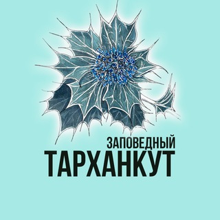 Логотип tarkhankut_olenevka