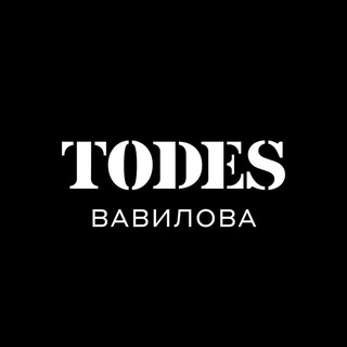 Логотип канала todesvavilova