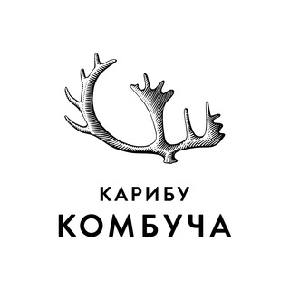 Логотип канала karibu_kombucha