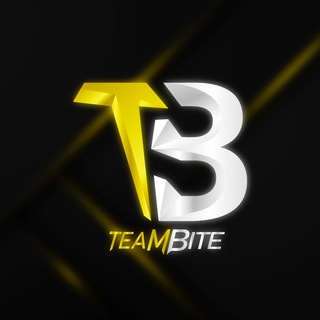 Логотип канала biteteamscrims