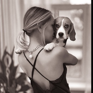 Логотип канала girl_with_beagle