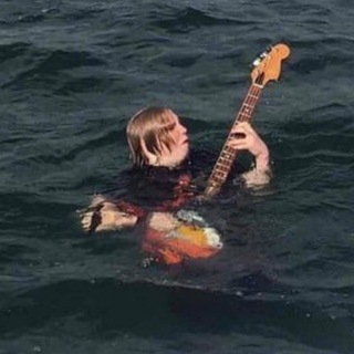 Логотип mushitp