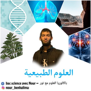 Логотип bac_science2022