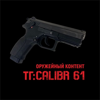 Логотип chat_kalibr61