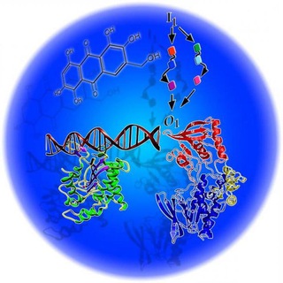 Логотип канала biohaking_nadh