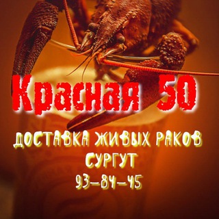 Логотип канала raki_surgut_krasnaya50