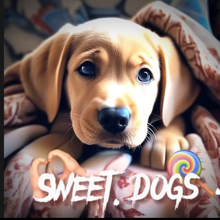 Логотип канала sweetdogs10