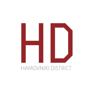 Логотип канала hamovnikidistrict