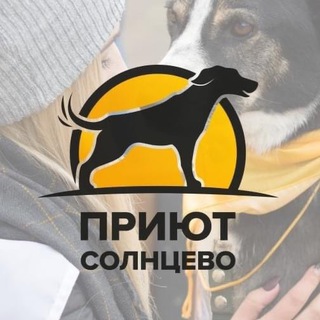 Логотип канала sundog_shelter