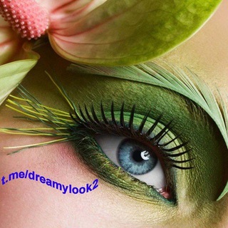 Логотип dreamylook2