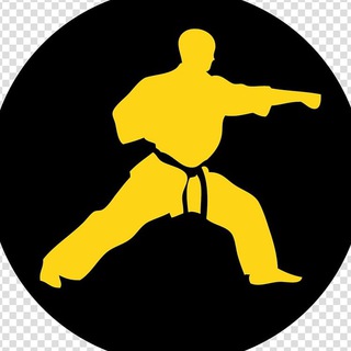 Логотип канала martial_arts_video_lessons