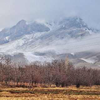 Логотип канала sootlagh