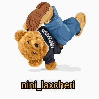 Логотип nini_laxcheri