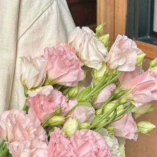 Логотип nouromar2013