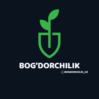 Логотип канала bogdorchilik_uz