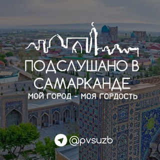 Логотип pvs_uzb