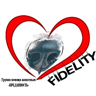 Логотип канала fidelityawg