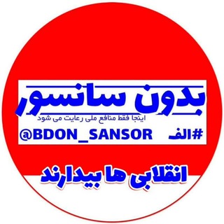 Логотип канала bdon_sansor