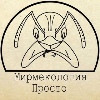 Логотип канала myrmecologia_prosto_chat