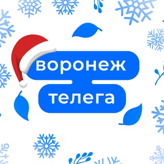 Логотип канала tgvoronezh