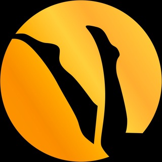 Логотип канала versailles_petr