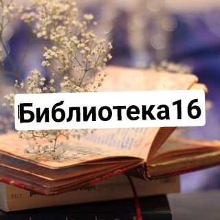 Логотип biblioteka16vo