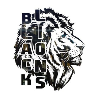 Логотип канала blacklionsinfo