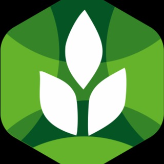 Логотип канала agrocompufa