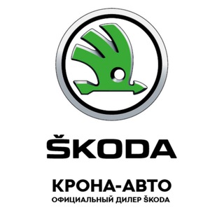 Логотип канала skoda_bryansk