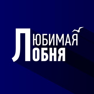 Логотип канала newslobnya