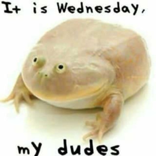 Логотип wensdaysfrogs