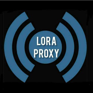 Логотип lora_proxy0