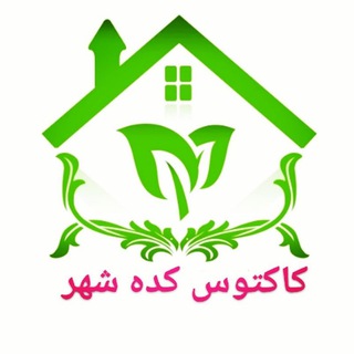 Логотип канала cactuskadeshahr