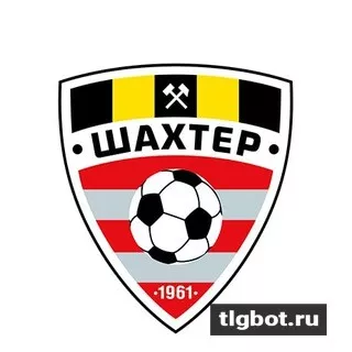 Логотип fc_shakhterby