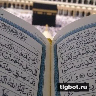 Логотип quran_1_1_4