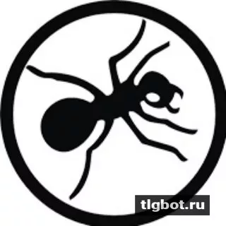 Логотип ant_on_of