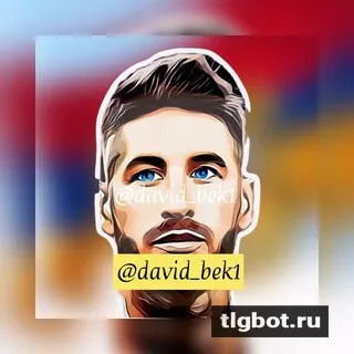 Логотип davidbek1