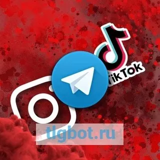 Логотип nakrutka_sg