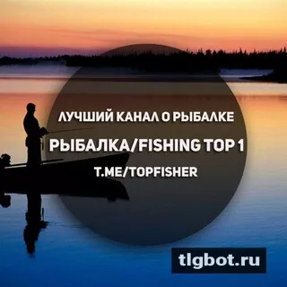 Логотип topfisher