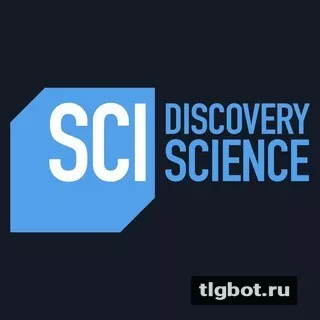 Логотип discoverychann