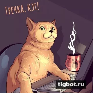 Логотип kat_999