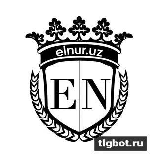 Логотип elnuradmin