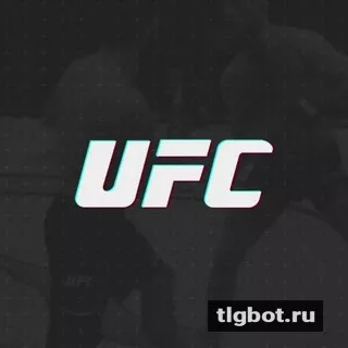 Логотип ufczdes