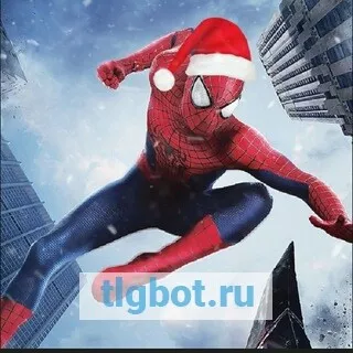 Логотип spideytelegram