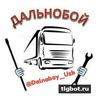 Логотип dalnaboy_uzb