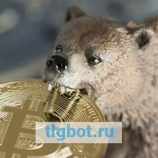Логотип crypto_grandfather