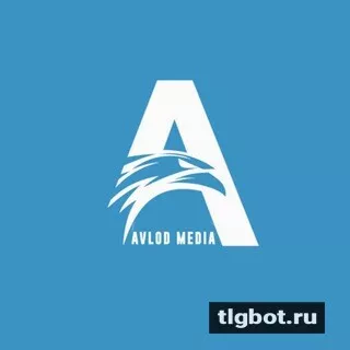 Логотип avlodmediaa