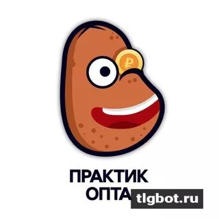 Логотип optom100